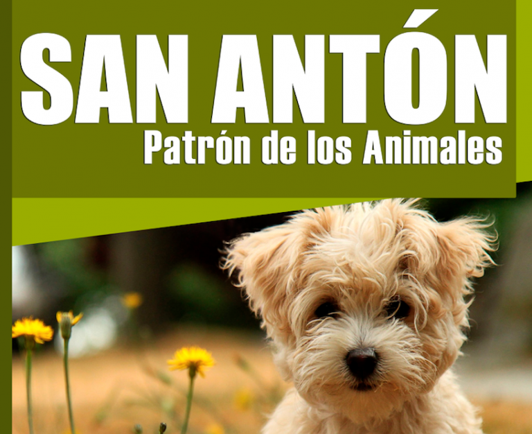 San Antón 2016