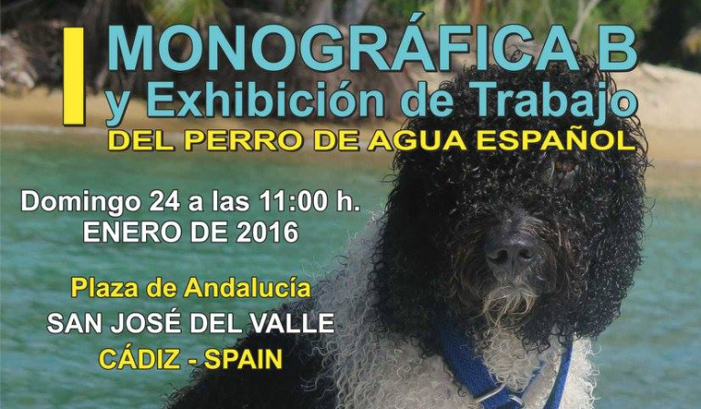 I Monográfico B y exhibición de trabajo del perro de agua Español.