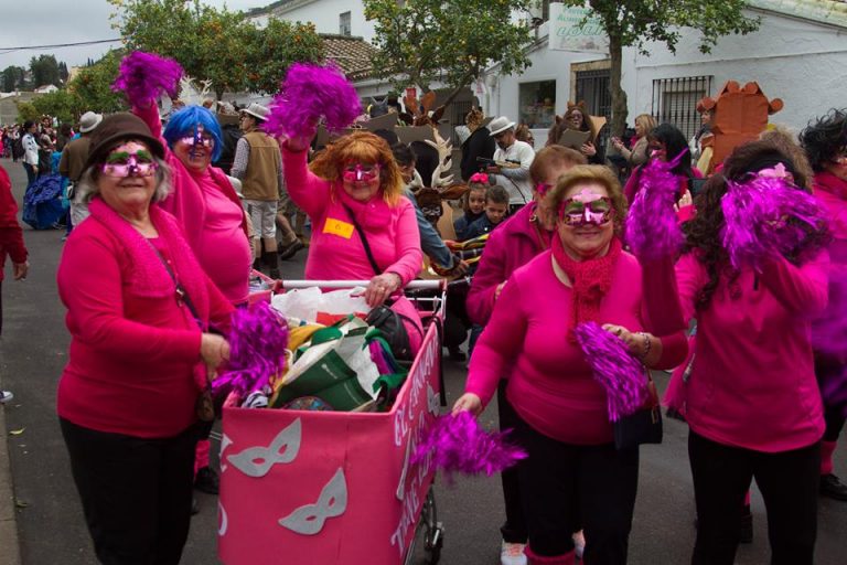 CONCURSO DE DISFRACES CARNAVAL 2017