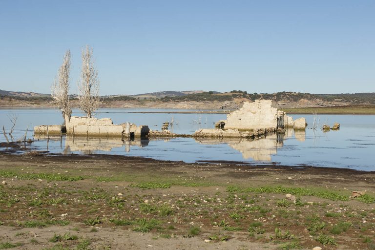 PREMIO “HISTORIA DE SAN JOSÉ DEL VALLE” 2018