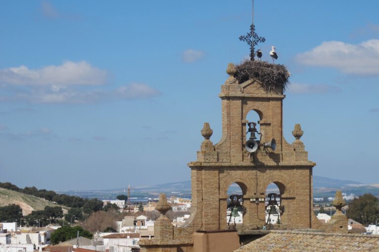 Programación Actividades mes de Abril