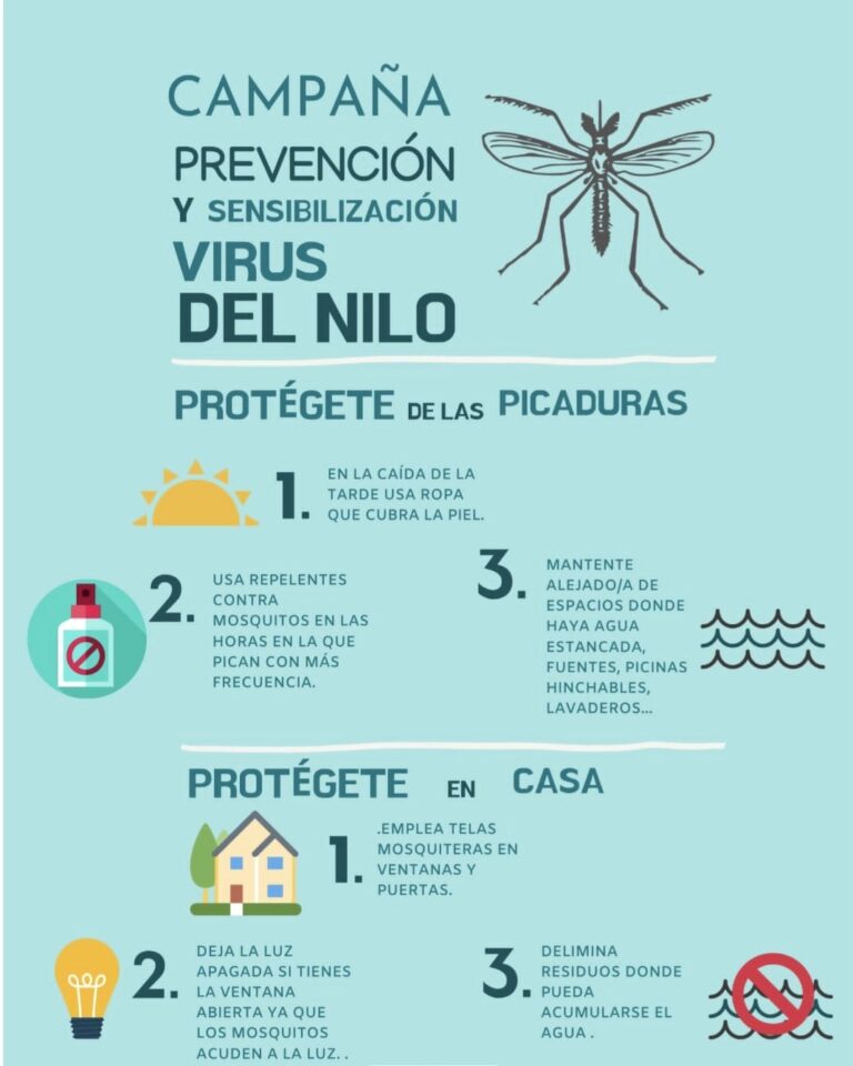 El Excmo. Ayuntamiento de San José del Valle ha puesto en marcha de nuevo una campaña informativa con el objeto de prevenir la Fiebre del Nilo Occidental.